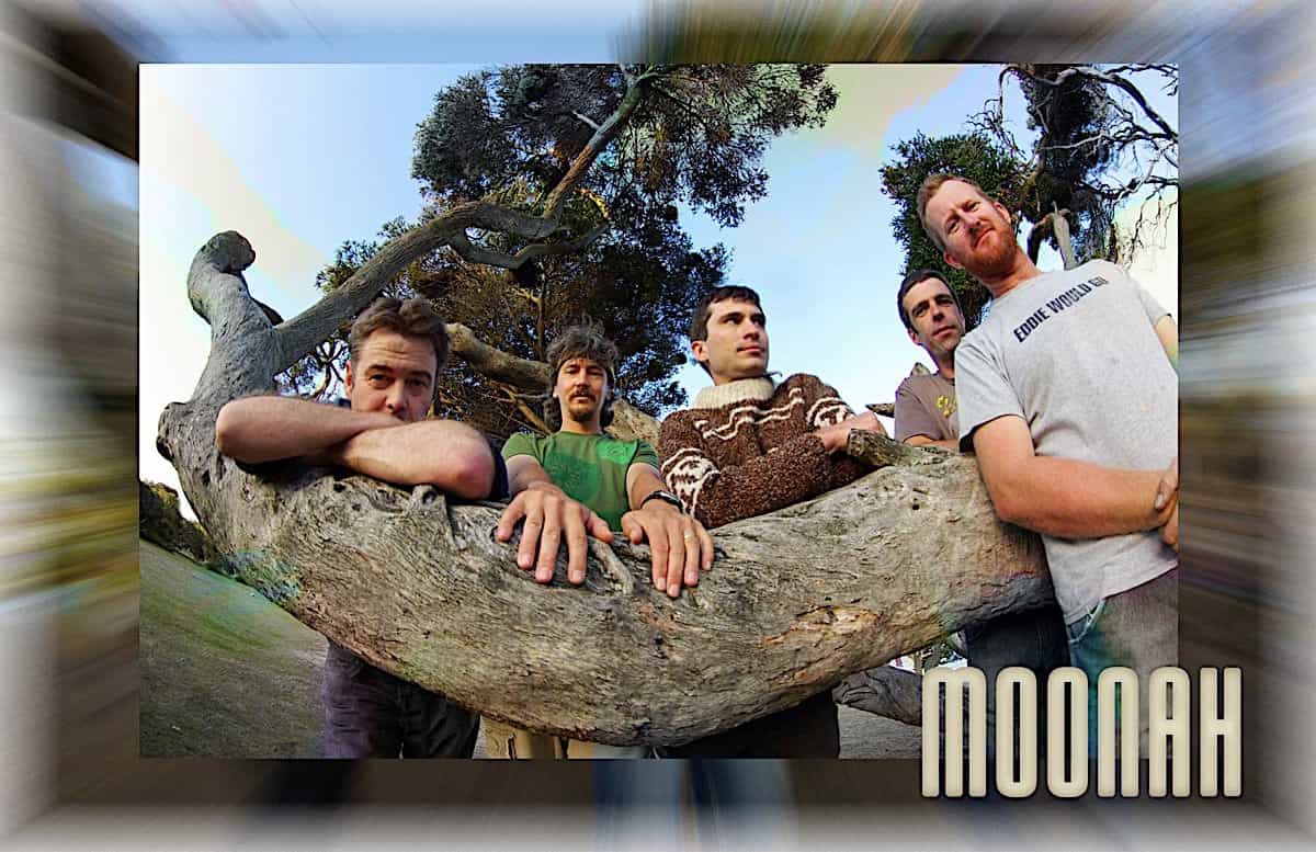 Moonah 006